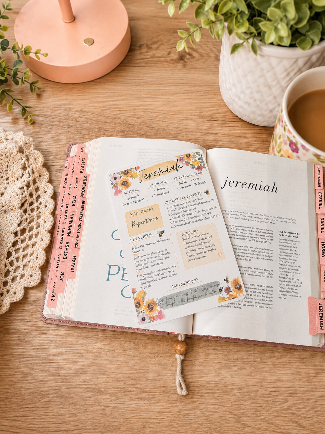Bible Book Overview Inserts | Complete Reference Set for All 66 Books of the Bible | Printed 5x7 Bible Study Cards